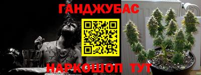 спиды Гай