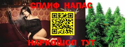 спиды Гай