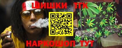 спиды Гай