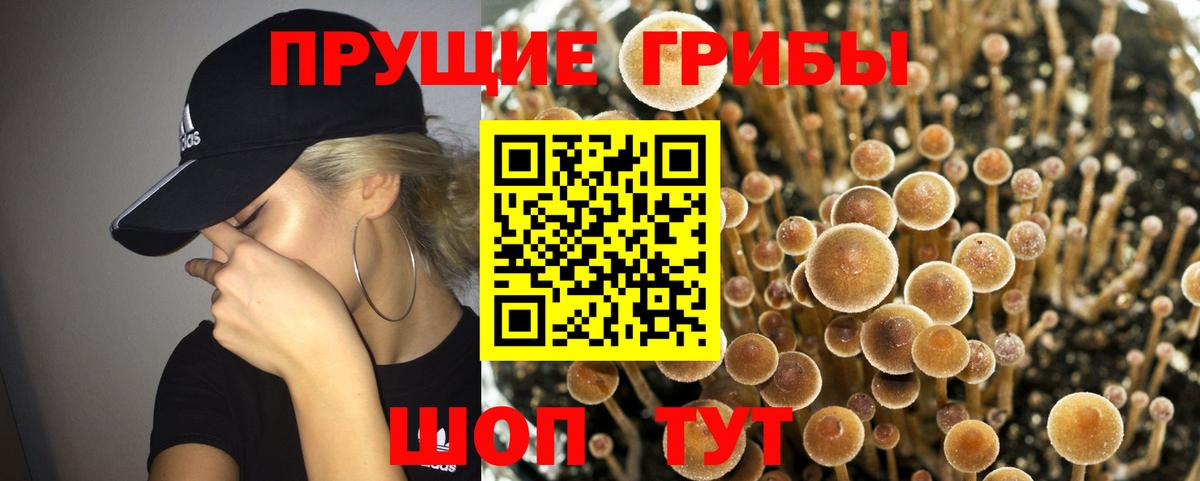 Галлюциногенные грибы GOLDEN TEACHER Нижневартовск