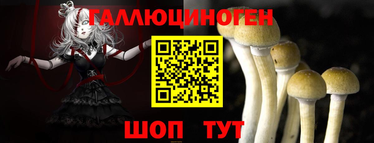 Нижневартовск  Псилоцибиновые грибы MAGIC MUSHROOMS  Вход с VPN 